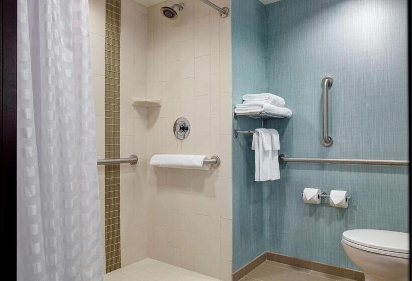 Номер Стандарт Адаптированный для Инвалидов, Hyatt Place Arlington Courthouse