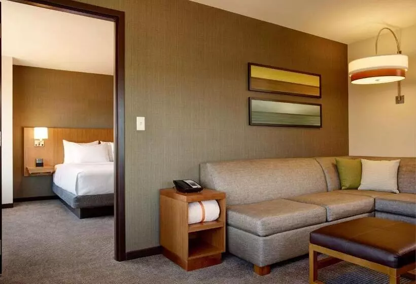 Sviitti King-vuode, Hyatt Place Arlington Courthouse