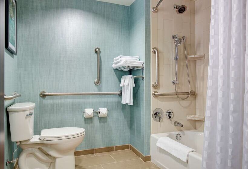 장애인을 위한 스탠다드 룸, Hyatt Place Arlington Courthouse