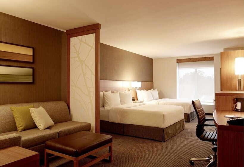 장애인을 위한 스탠다드 룸, Hyatt Place Arlington Courthouse