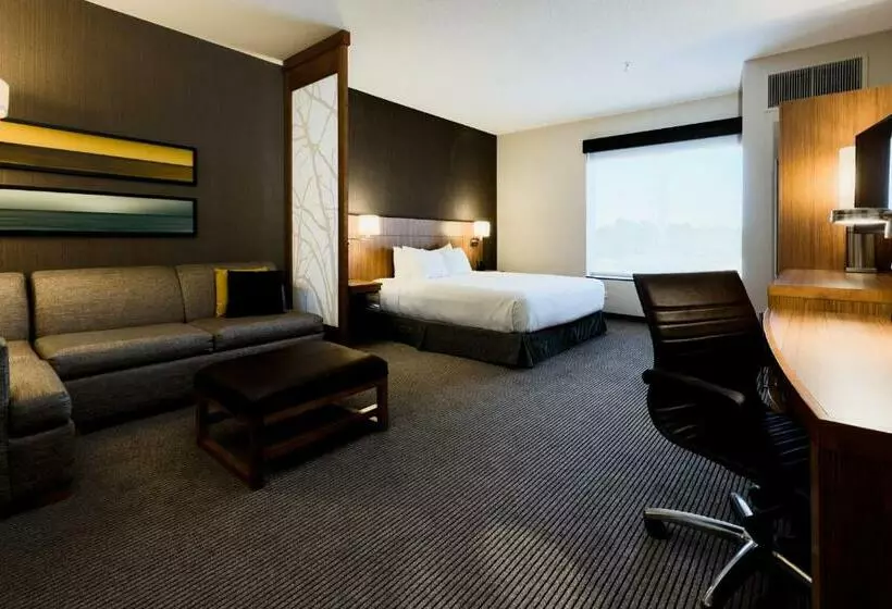 キングサイズベッドのスタンダードルーム, Hyatt Place Augusta