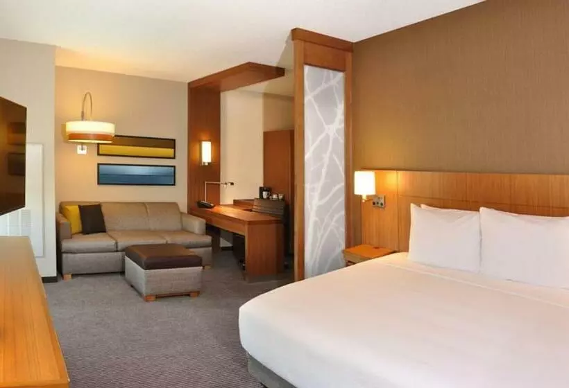 キングサイドベッドのスタンダードワンルーム, Hyatt Place Augusta