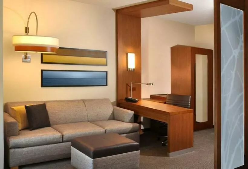 キングサイドベッドのスタンダードワンルーム, Hyatt Place Augusta
