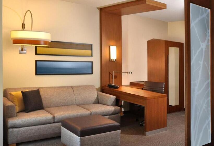 Стандартный Номер Кровать Кинг, Hyatt Place Augusta