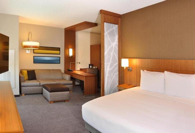 Стандартный Номер Кровать Кинг, Hyatt Place Augusta