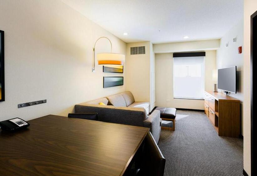 Стандартный Номер Кровать Кинг, Hyatt Place Augusta