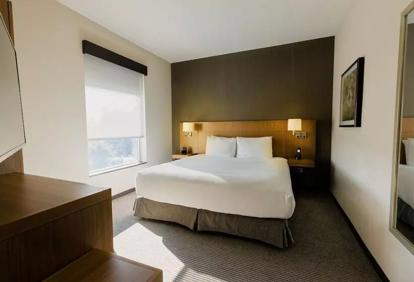 １ベッドルームアパートメント, Hyatt Place Augusta