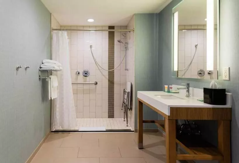 １ベッドルームアパートメント, Hyatt Place Augusta