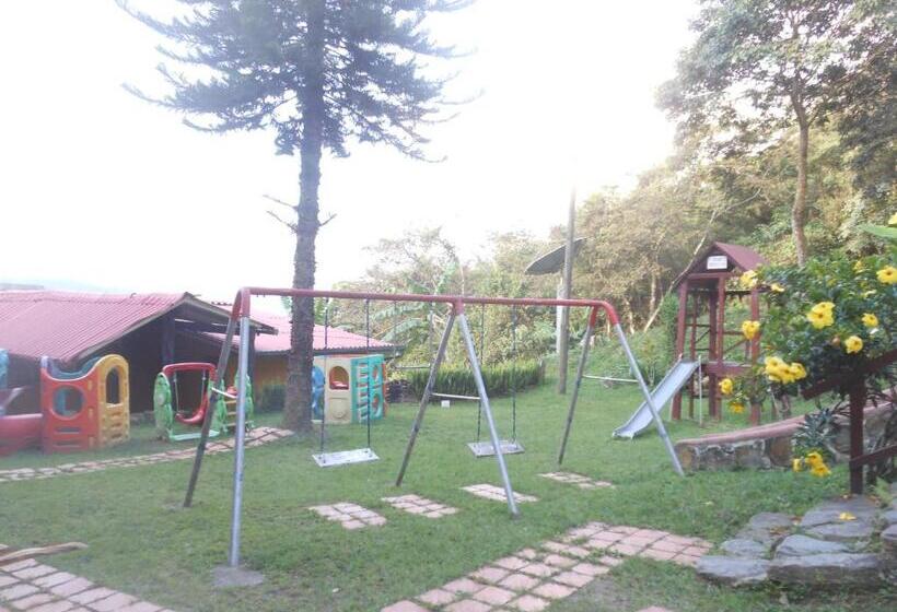 اتاق اکونومی, Viejo Molino Coroico