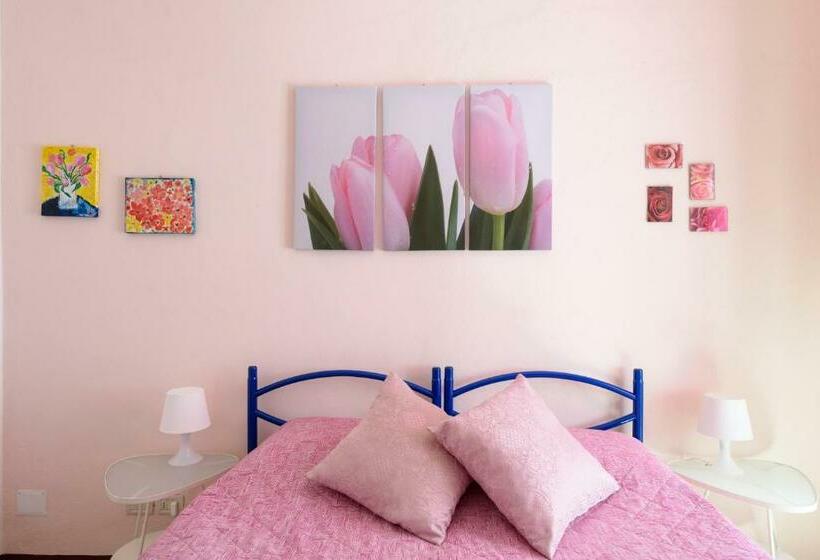 Ortak Banyolu Standart Oda, Casa Di Osio