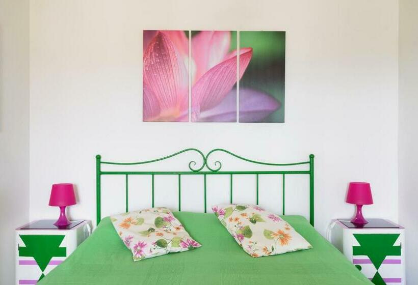 Ortak Banyolu Standart Oda, Casa Di Osio