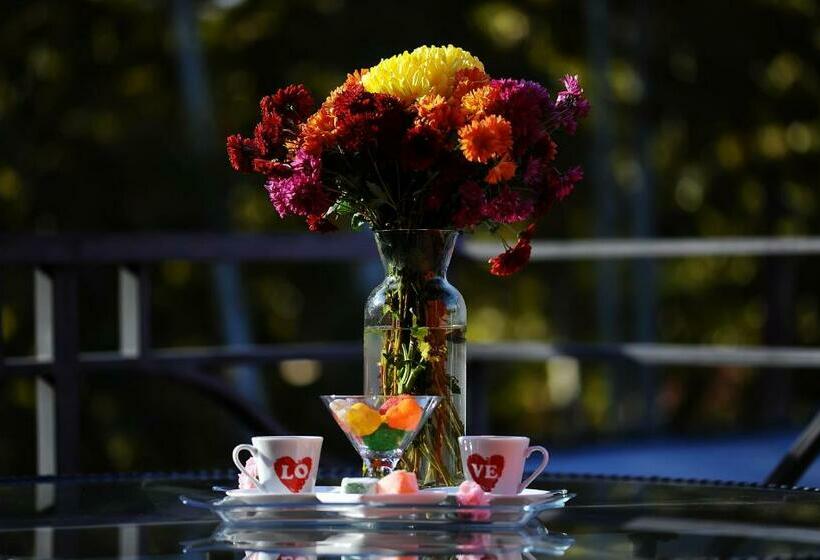 اتاق استاندارد با بالکن, Coral Boutique