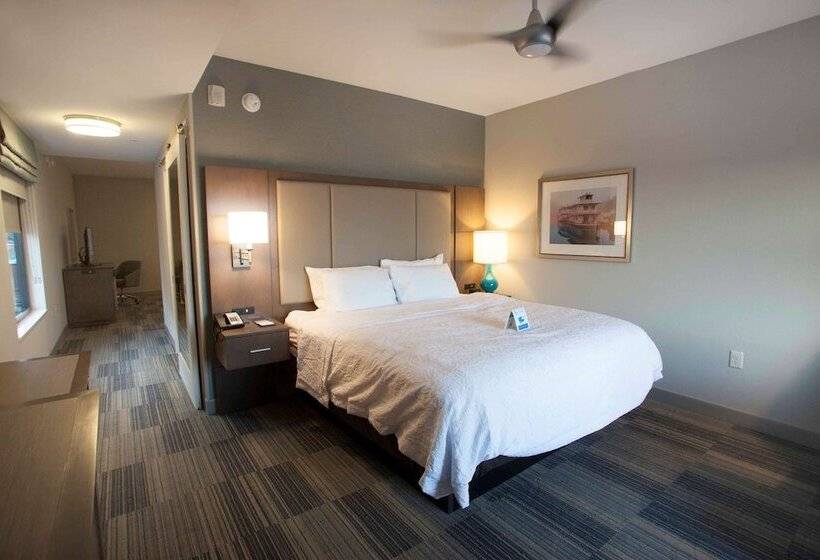 Люкс, Hampton Inn & Suites Downtown St. Paul