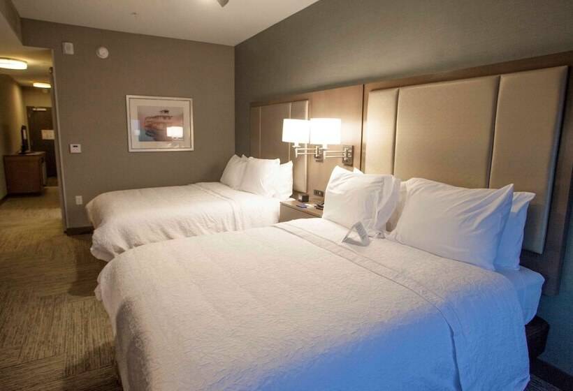 スイート, Hampton Inn & Suites Downtown St. Paul