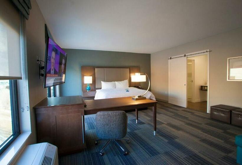 キングサイズベッドのデラックススイート, Hampton Inn & Suites Downtown St. Paul
