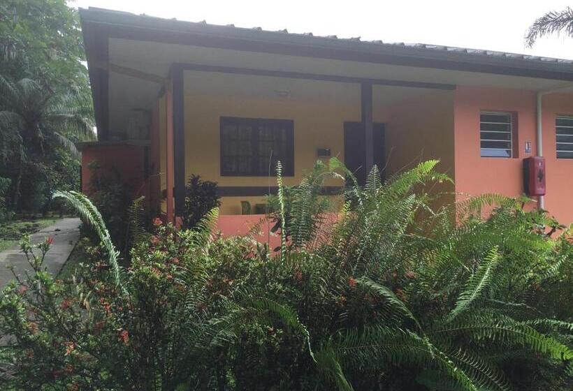 استودیو استاندارد با چشم‌انداز باغ, L Ebene Verte