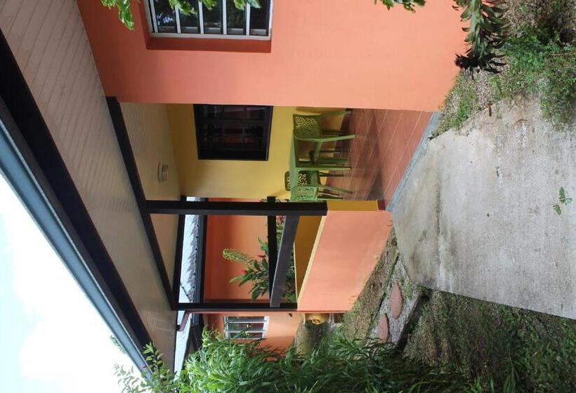 استودیو استاندارد با چشم‌انداز باغ, L Ebene Verte