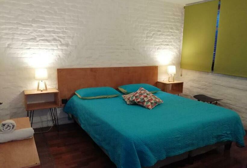 غرفة قياسية, Mediomundo Hostel