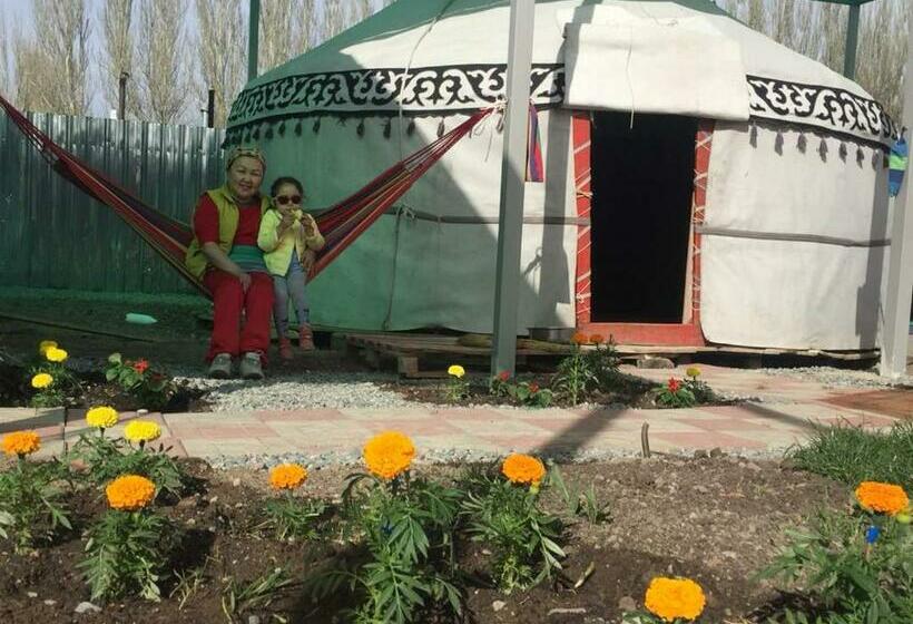 تختخواب در اتاق مشترک, Duet Hostel &