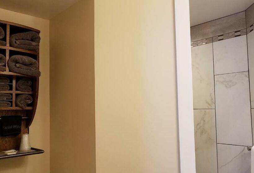 سوئیت 2 خوابه, Ouray For 12 Years Old And Over