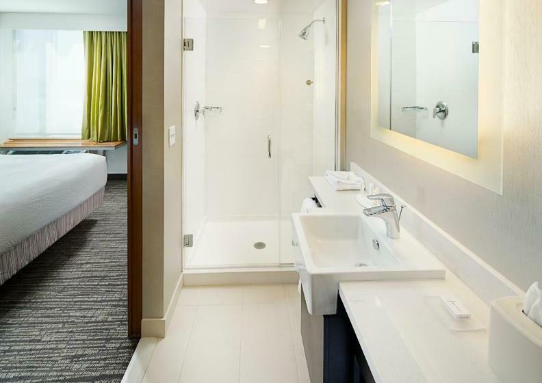 标准工作室, Springhill Suites By Marriott Carle Place Garden City