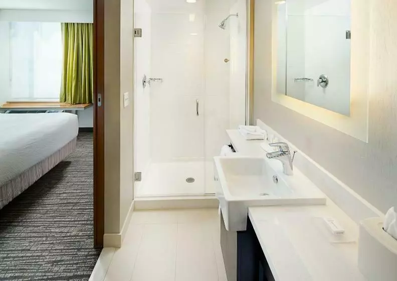 スタンダードスタジオ, Springhill Suites By Marriott Carle Place Garden City