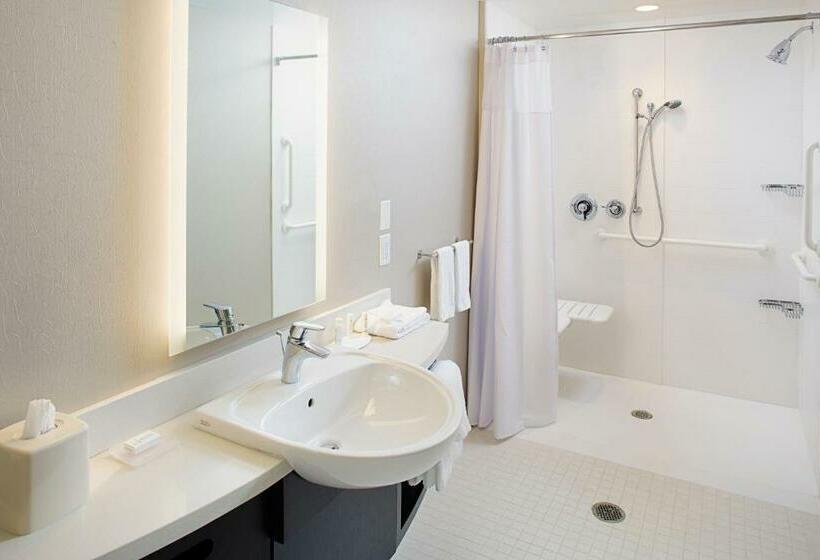 带大床的标准工作室, Springhill Suites By Marriott Carle Place Garden City