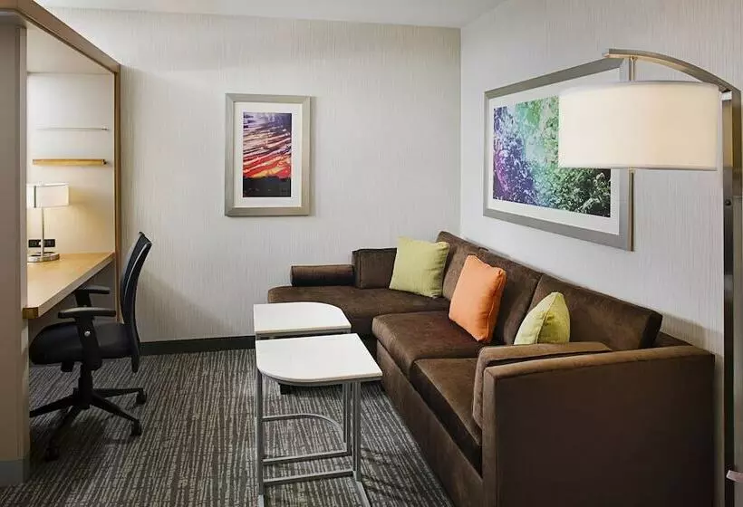 スタンダードスタジオ, Springhill Suites By Marriott Carle Place Garden City