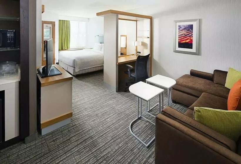 スタンダードスタジオ, Springhill Suites By Marriott Carle Place Garden City
