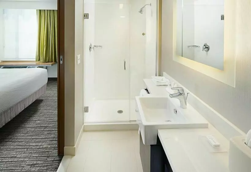 スタンダードスタジオ, Springhill Suites By Marriott Carle Place Garden City