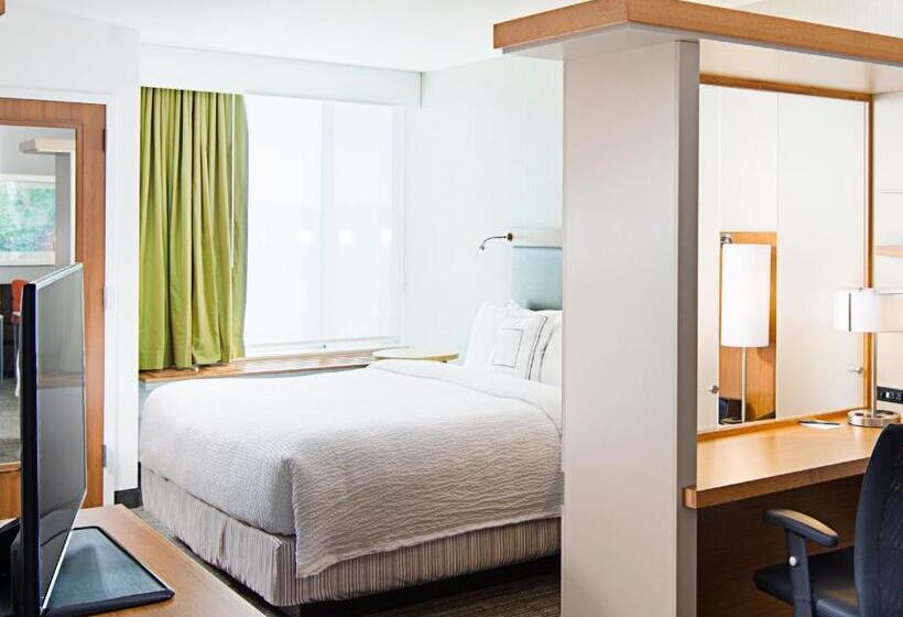 带大床的标准工作室, Springhill Suites By Marriott Carle Place Garden City