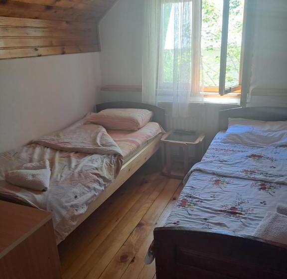 اتاق استاندارد, Guesthouse Ukus Durmitora