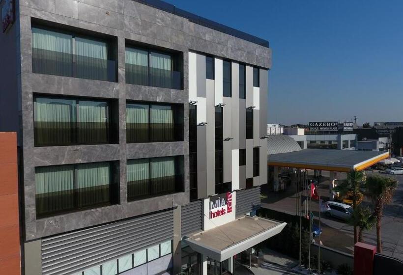 اتاق استاندارد پلاس, Mia City