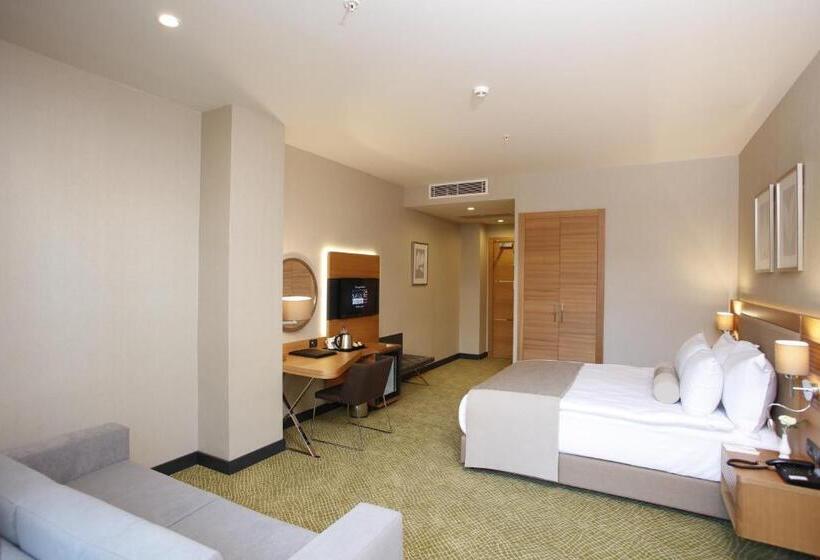 اتاق استاندارد پلاس, Mia City