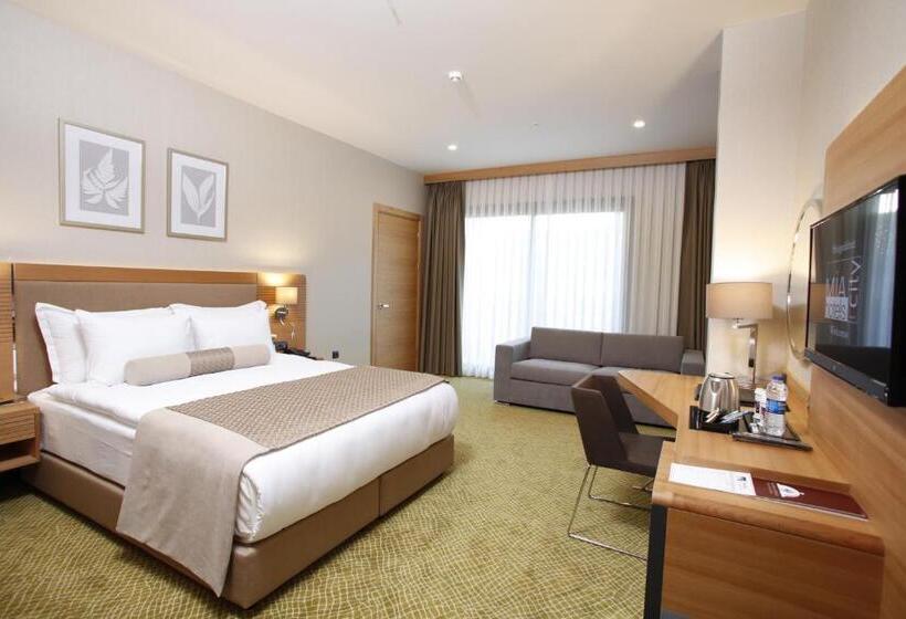 اتاق استاندارد پلاس, Mia City