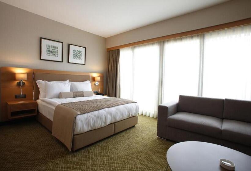 اتاق استاندارد پلاس, Mia City