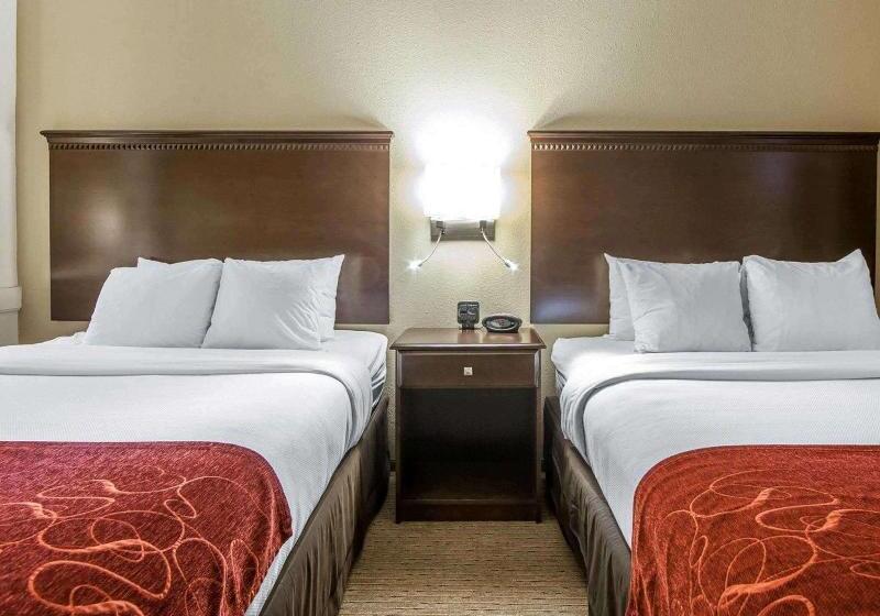 اتاق استاندارد, Mia City