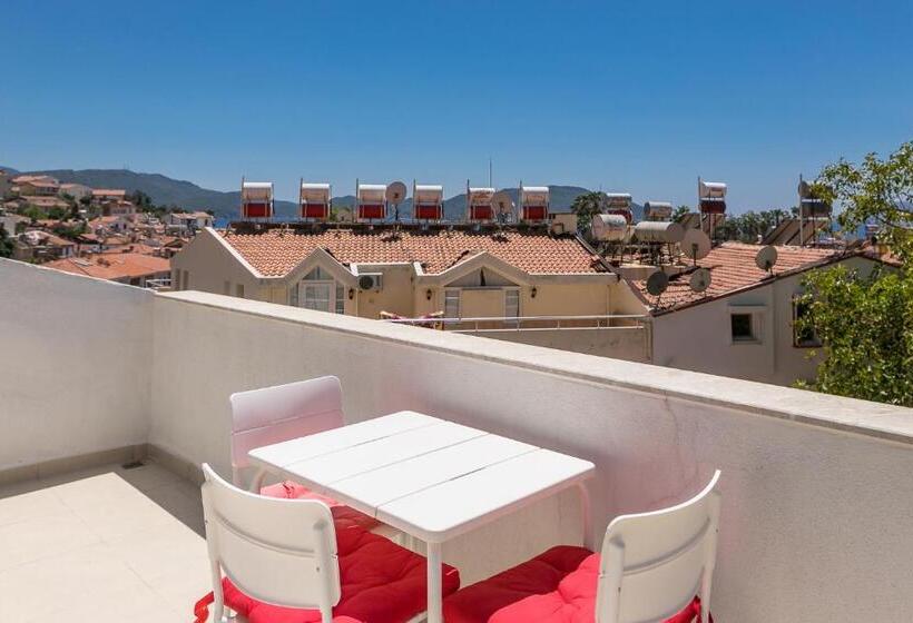 דירת פנטהאוז 1 חדרי שינה, Kasinn Apart