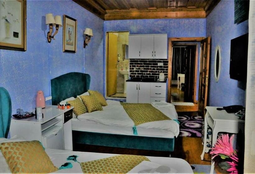 Single Deluxe Room, The Trip Istanbul