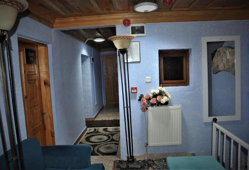 Deluxe Room, The Trip Istanbul