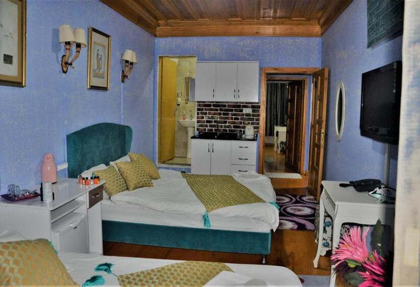 Deluxe Room, The Trip Istanbul