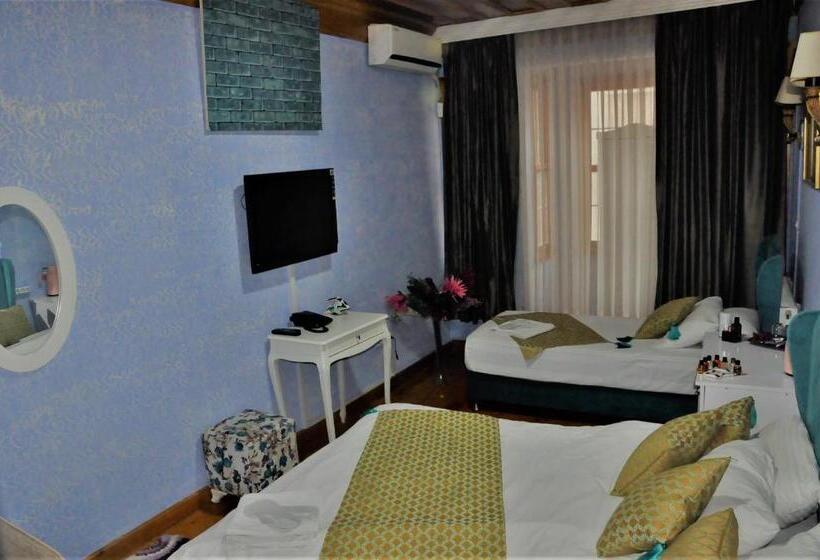 Deluxe Room, The Trip Istanbul