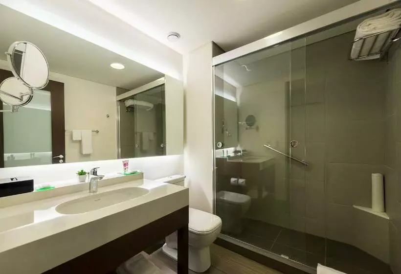 キングサイズベッドのスタンダードルーム, Hyatt Place Sao Jose Do Rio Preto