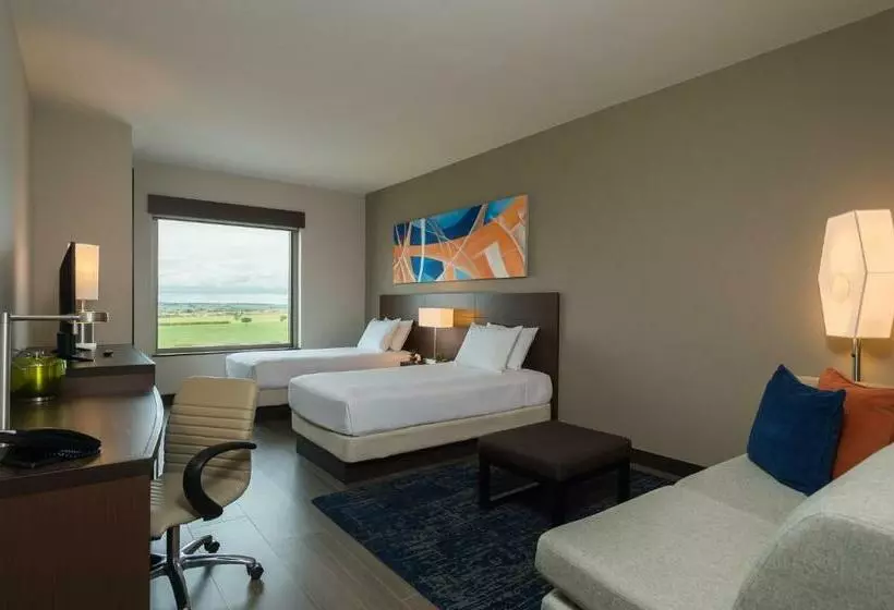 身障者適用スタンダードルーム, Hyatt Place Sao Jose Do Rio Preto