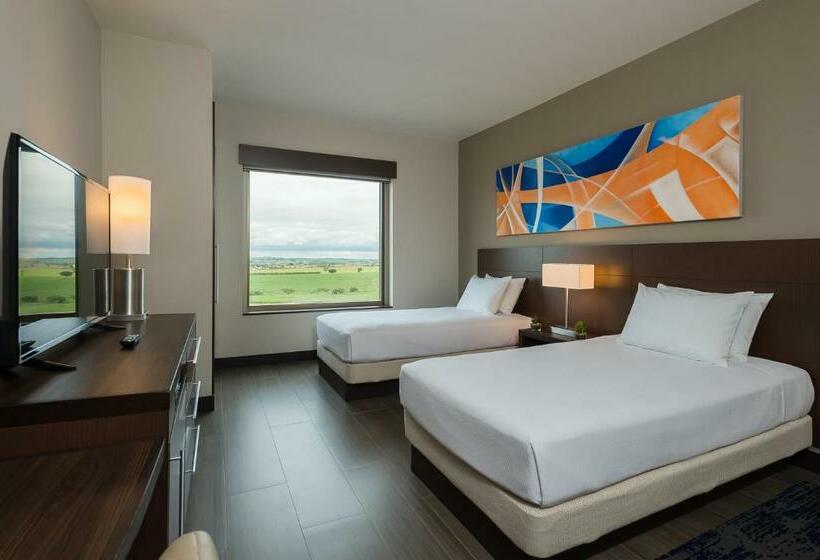 장애인을 위한 스탠다드 룸, Hyatt Place Sao Jose Do Rio Preto