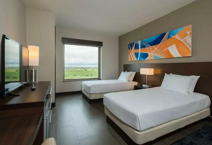 身障者適用スタンダードルーム, Hyatt Place Sao Jose Do Rio Preto