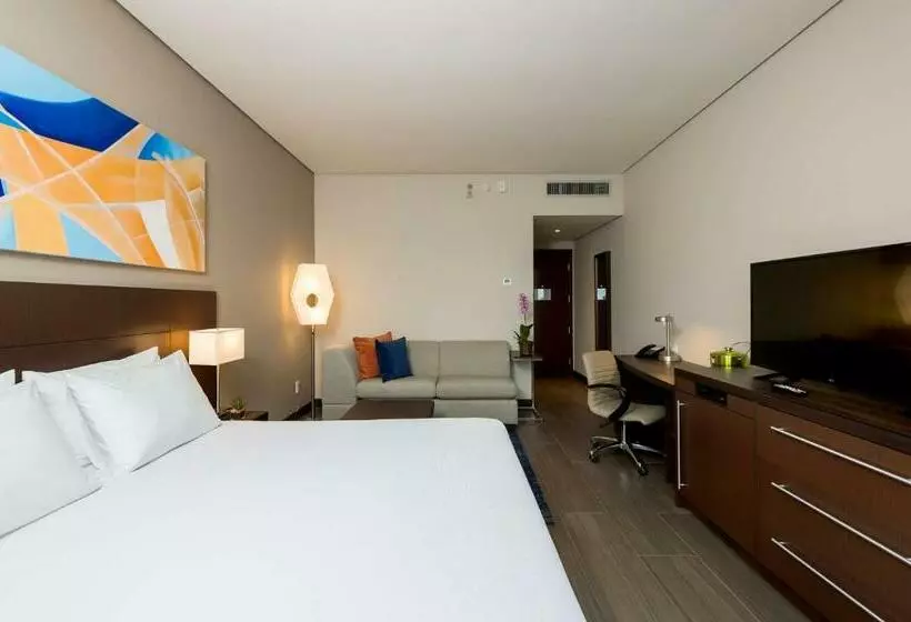 キングサイズベッドのスタンダードルーム, Hyatt Place Sao Jose Do Rio Preto