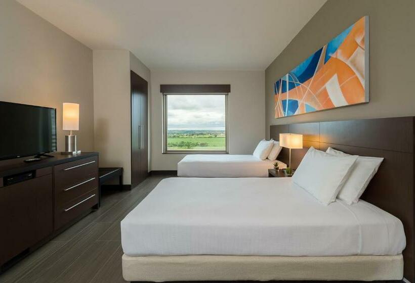 Номер Стандарт Адаптированный для Инвалидов, Hyatt Place Sao Jose Do Rio Preto