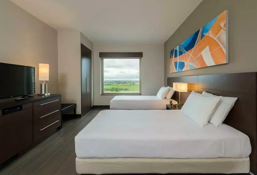 身障者適用スタンダードルーム, Hyatt Place Sao Jose Do Rio Preto