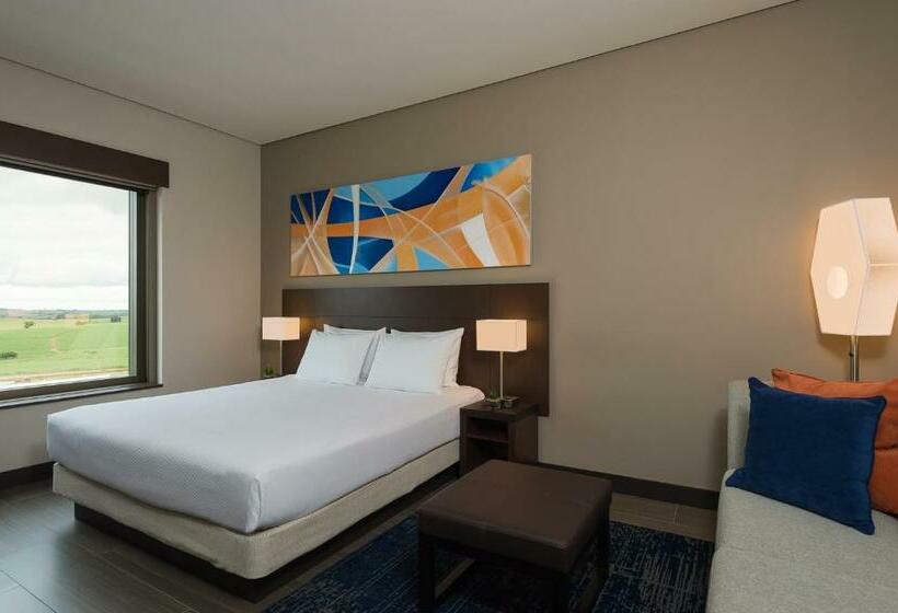 스탠다드 룸 킹사이즈 침대, Hyatt Place Sao Jose Do Rio Preto